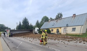 Zdjęcie przedstawia wywrócona na bok naczepę od tira i wysypane na jezdni buraki cukrowe.