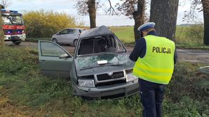 Zdjęcie przedstawia stojącego umundurowanego policjanta przed rozbitym autem.